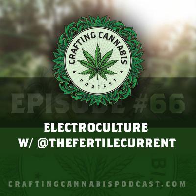 #66 - Electroculture w/ @thefertilecurrent