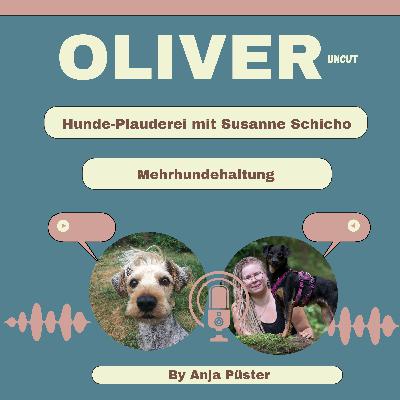 Mehrhundehaltung. Hunde-Plauderei mit Susanne Schicho