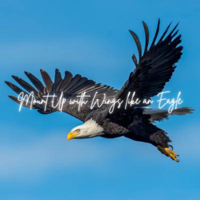 Mount Up with Wings like an Eagle - Pr Sandra Chin