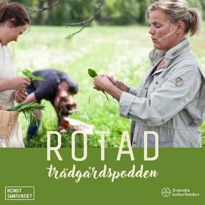 ÄTA OGRÄS? Jamen visst!