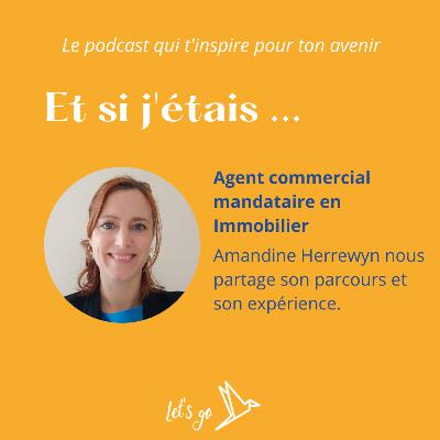 Et si j'étais agent commercial mandataire en Immobilier