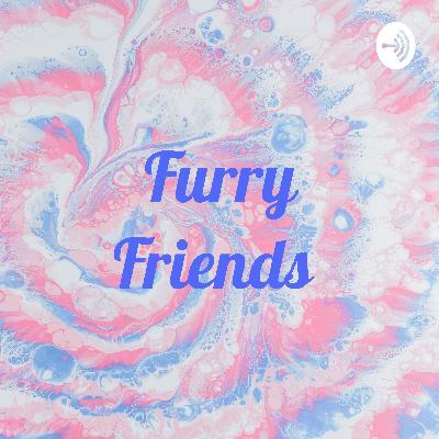 Furry Friends
