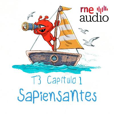 Sapiensantes - T3. E1. ¿Por qué flotan los barcos?