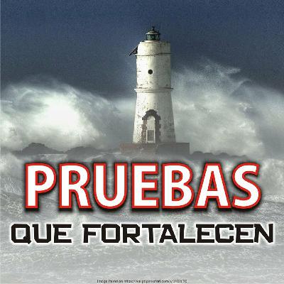 Viviendo como un hijo de Dios - 4049