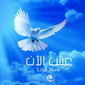 عش الان Live NOW!
