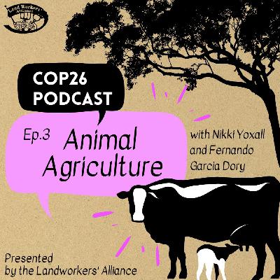 Animal Agriculture: Climate Justice at COP26 Animal Agriculture: Climate Justice at COP26