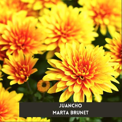 Juancho - Marta Brunet | Audiorelato | Cuentos de Ojos Amarillos