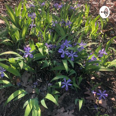 Episode 10: Conversation Series with Chris Medrano, Round 2