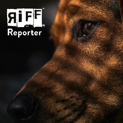 Was macht den Hund zum Hund, Katharina Jakob und Peter Spork? Was macht den Hund zum Hund, Katharina Jakob und Peter Spork?