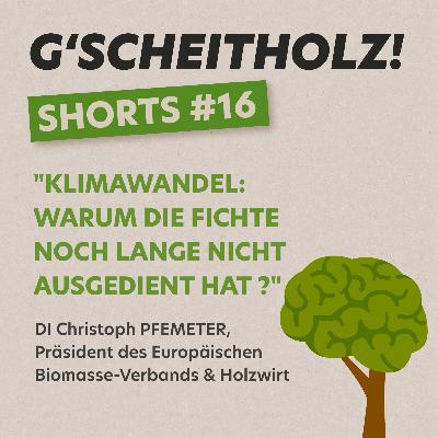 G'SCHEITHOLZ! SHORTS #16 – Tradition und Moderne im Wald