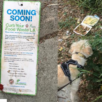 MyEveryDayRadio5.WAV