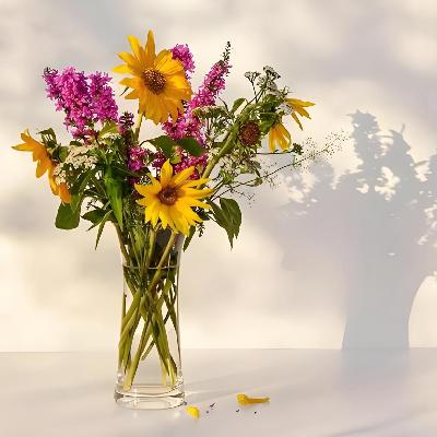 王蒙：谈谈心理健康问题