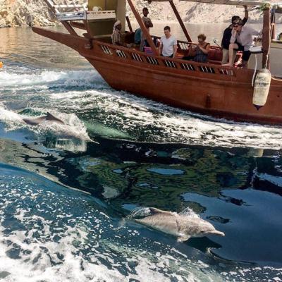 Environmental diversity in the Sultanate of Oman,