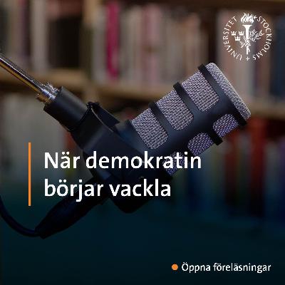 När demokratin börjar vackla