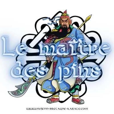 S1-EP13 - Le Maître des Pins - podcast arts martiaux - Mojenn