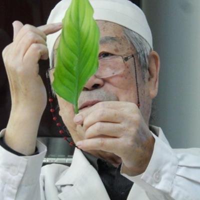 ﻿TEORÍA DE CANALES Y LOS PILARES DE LA MEDICINA CHINA