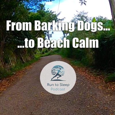 From Barking Dogs to Beach Calm