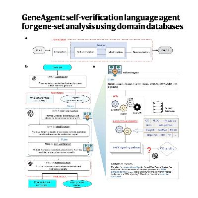 096-GeneAgent | 基因集分析