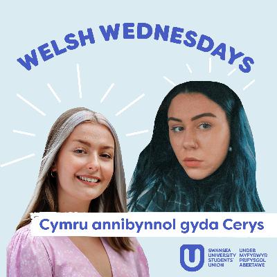 Cymru annibynnol gyda Cerys