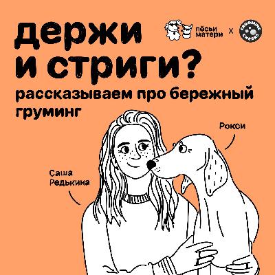 Держи и стриги? Рассказываем про бережный груминг