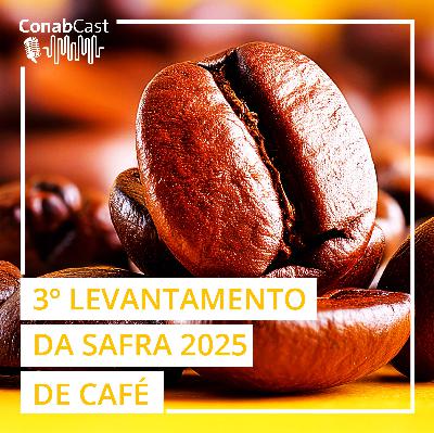 Levantamento da Conab aponta para uma produção de café de 55,2 milhões de sacas na safra 2025