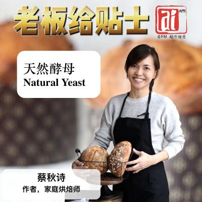 《老板给贴士》 天然酵母 Natural Yeast