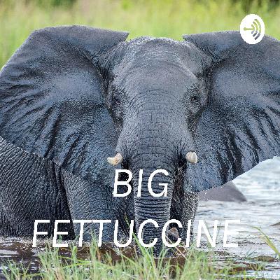 Why a man should keep a plan b