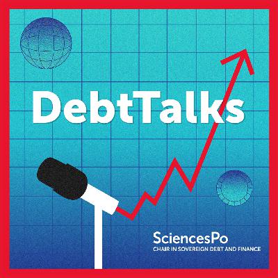 Debt Management in Practice