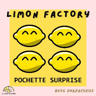 Pochette Surprise - 4 potos 4 micros avec Lou, Sarah, Elodie & Fanny