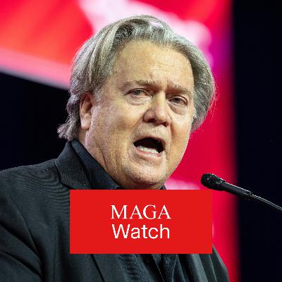Hvem er Toje-vennen Steve Bannon? Hvem er Toje-vennen Steve Bannon?