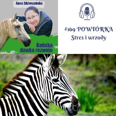 #169 POWTÓRKA – Stres i wrzody