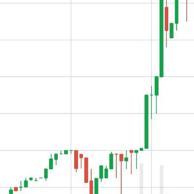 As principais raças bovinas de corte no país e demais curiosidades