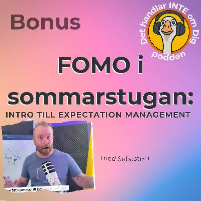 BONUS: FOMO i sommarstugan - intro till Expectation Management