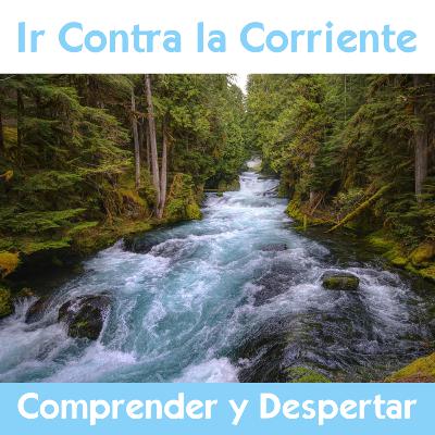 Ir contra la corriente