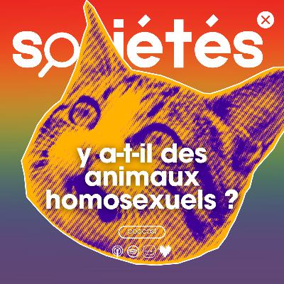 Y a-t-il des animaux homosexuels ? (Partie 1/2)