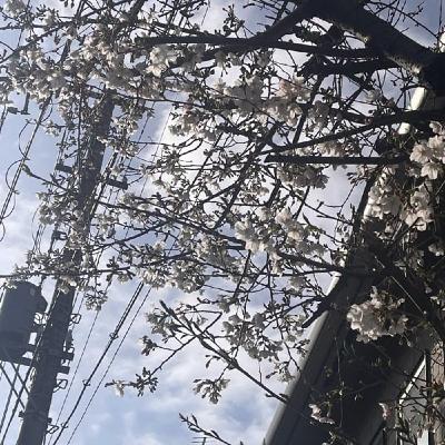 239 疲れて何も決められなかった私が、ご飯で元気になった話