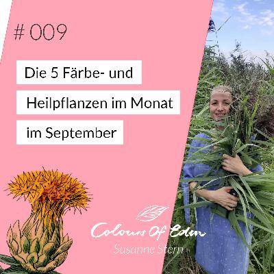 # 009 – 5 Färbe- und Heilpflanzen im September