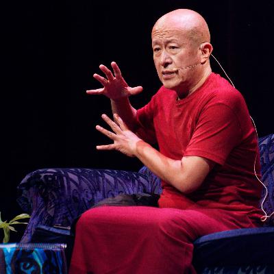Vipassana, jako technika k přímému prožívání života - Dzongsar Jamyang Khyentse Rinpočhe - část 1