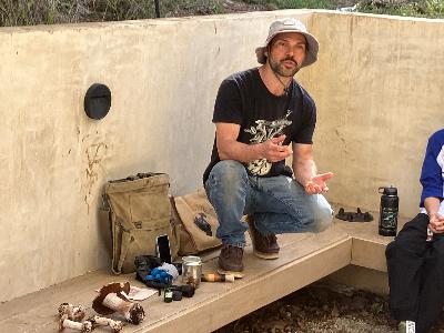PODCAST: The Mushroom Whisperer