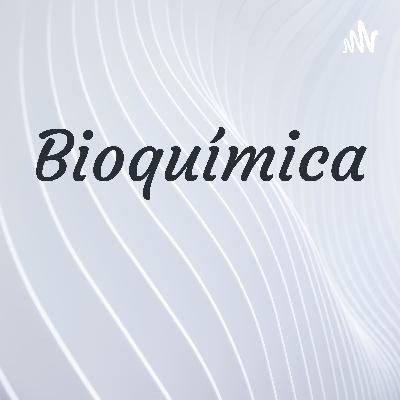 Importancia de la bioenergética en los organismos