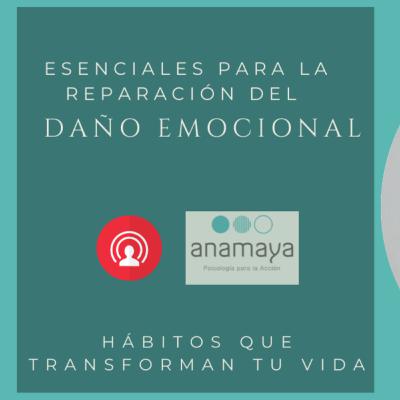 Los 4 pasos esenciales para reparar el daño emocional y la recuperación de la confianza.
