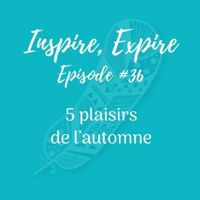 #36 - 5 plaisirs de l'automne