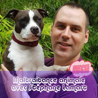 Maltraitance animale avec Stéphane Lamart