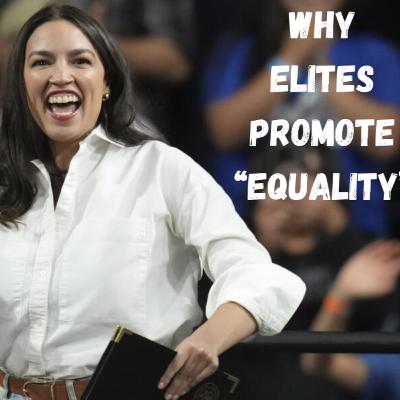The Egalitarian Fools Errand: The Iron Law of Oligarchy