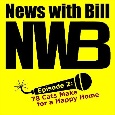 002: 78 Cats Make for a Happy Home
