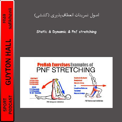 اصول تمرینات انعطاف‌پذیری (کششی)