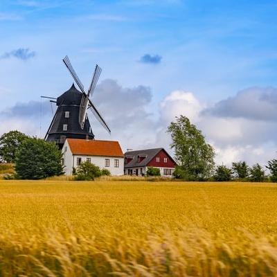 “Swedes are like Dubs: they have notions!”