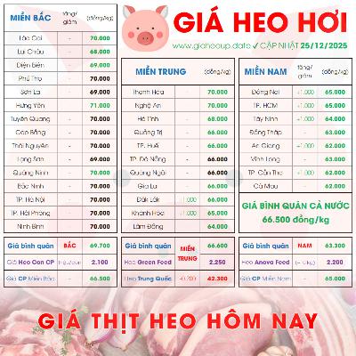 GIÁ HEO HƠI 25/12/2025 ✅ GIÁ THỊT LỢN & TIN TỨC CHĂN NUÔI #GIAHEOHOI #GIATHITHEO #GIAHEOUPDATE