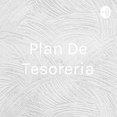 Plan de tesoreria