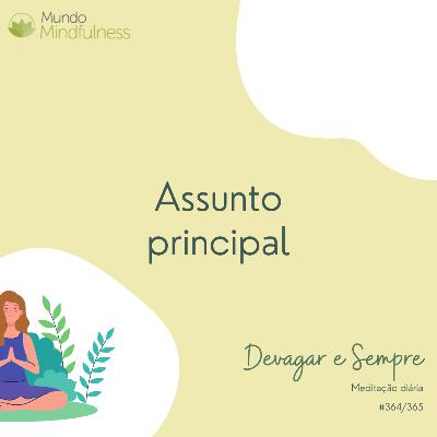 "Devagar e Sempre" - 364 de 365 - Assunto principal
